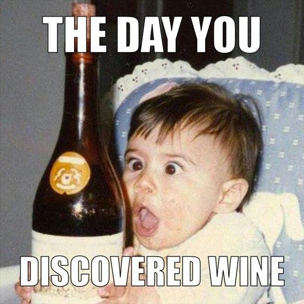 25+ of the best wine memes ever created