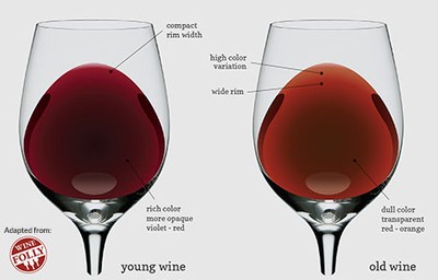 wine-color-chart - Sediments - The Last Bottle Wines Blog