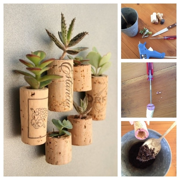 DIY cork planters, perfect for cuttings or faux succulents.