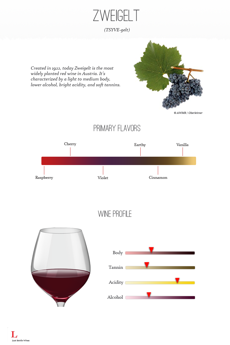 Zweigelt wine graphic
