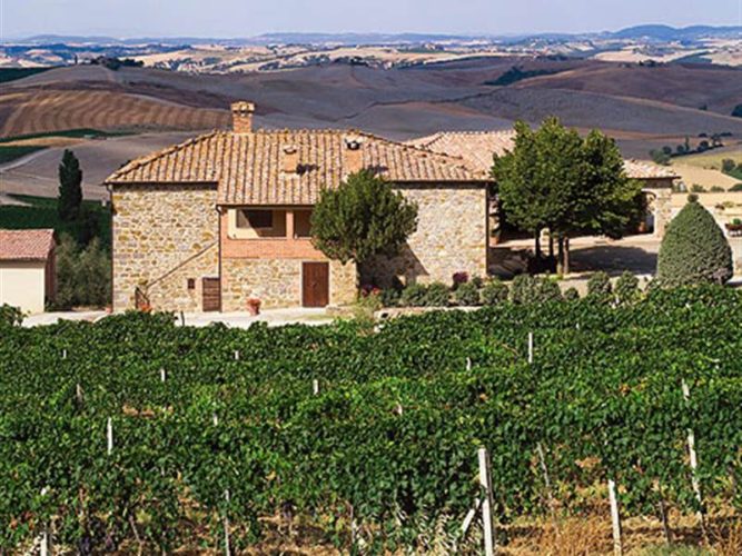 la-fortuna-montalcino-wines-34568