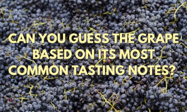 Can You Guess the Grape Based on Its Tasting Notes?