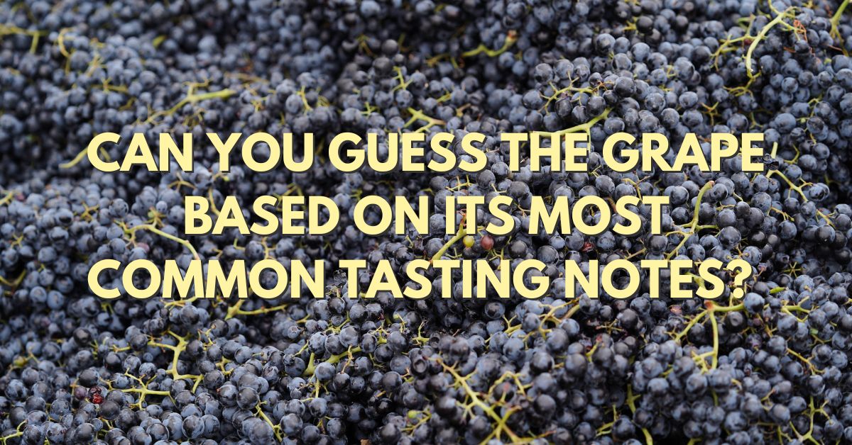 Can You Guess the Grape Based on Its Tasting Notes?
